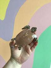 Load image into Gallery viewer, Sea Turtle Hair Claw