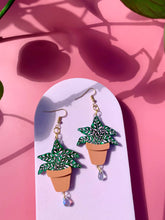 Load image into Gallery viewer, Terracotta Plants Acrylic Earrings