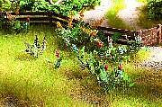 Load image into Gallery viewer, Noch 14056 HO Scale Field &amp; Wildflowers - Laser-Cut Minis(R) -- Makes 17 Plants