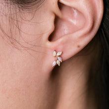 Load image into Gallery viewer, Feather Design Australian Solid Opal Stud Earrings 14K Yellow Gold