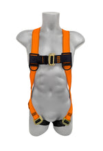 Load image into Gallery viewer, Frontline 100VMB Combat Economy Series Full Body Harness (Uni) Universal
