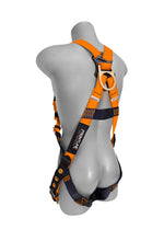 Load image into Gallery viewer, Frontline 100VTB Combat Economy Series Full Body Harness with Tongue Buckle Legs (Uni) Universal