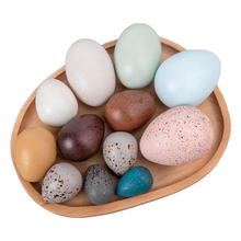 Load image into Gallery viewer, 12 Pcs Wooden Bird Eggs Set