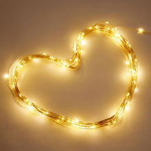 Load image into Gallery viewer, Yescom Copper String Light Christmas Lights Battery Powered 66ft