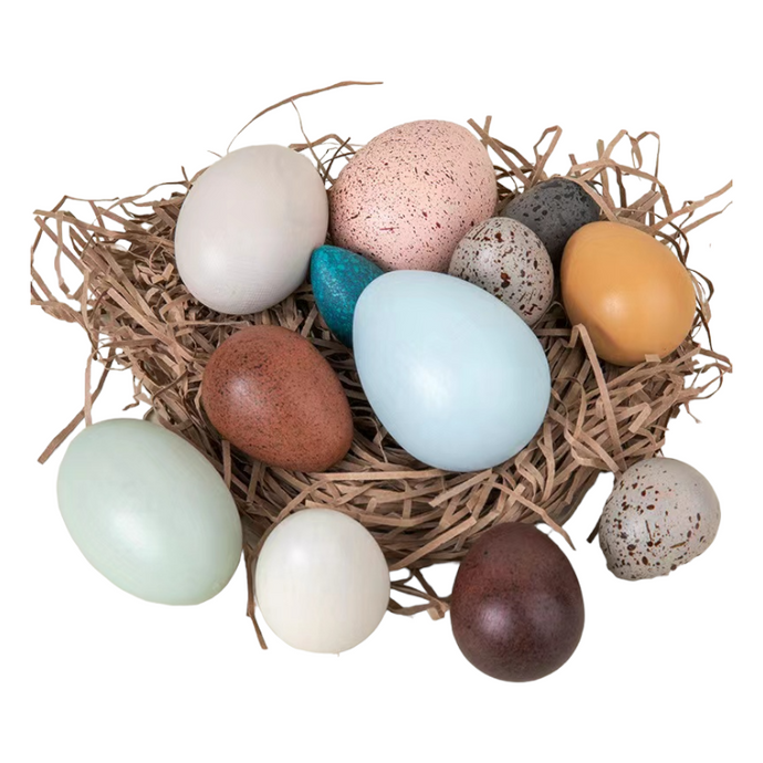 12 Pcs Wooden Bird Eggs Set