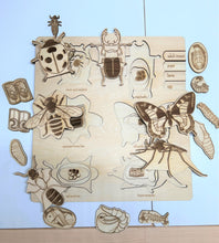 Load image into Gallery viewer, **Pre-order (Ships in 3-4 Weeks)**Educational Multi-Layered Wooden Puzzle