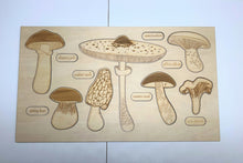Load image into Gallery viewer, **Pre-order (Ships in 3-4 Weeks)**Educational Multi-Layered Wooden Puzzle