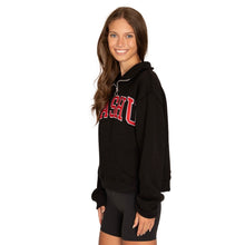 Load image into Gallery viewer, WashU Quarter Zip Sweatshirt