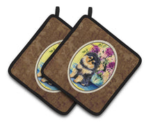 Load image into Gallery viewer, Pomeranian Pot Holders - Set of 2 Decorative Kitchen Helpers | Made in the USA SS8290PTHD