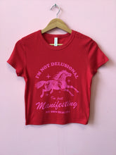 Load image into Gallery viewer, “I’m Not Delusional…” Shirt