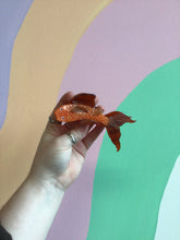 Load image into Gallery viewer, Koi Hair Claw