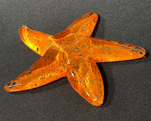 Load image into Gallery viewer, Mandarin Starfish