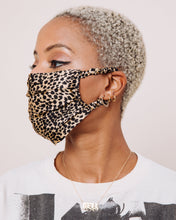 Load image into Gallery viewer, Fox on the Run - Mask