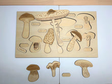 Load image into Gallery viewer, **Pre-order (Ships in 3-4 Weeks)**Educational Multi-Layered Wooden Puzzle