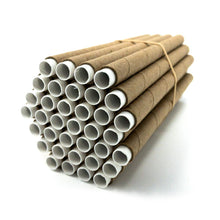 Load image into Gallery viewer, Spring Cardboard BeeTubes and Inserts for Mason Bees - 8mm