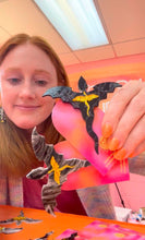 Load image into Gallery viewer, Fourth Wing Dragon Hair Barrette Accessory