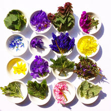 Load image into Gallery viewer, Wild Flower Hair Serum