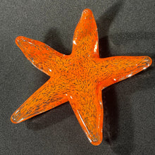 Load image into Gallery viewer, Mandarin Starfish