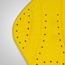 Load image into Gallery viewer, Protego CE-2 Back Armor Pad