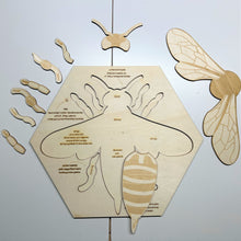 Load image into Gallery viewer, **Pre-order (Ships in 3-4 Weeks)**Educational Multi-Layered Wooden Puzzle