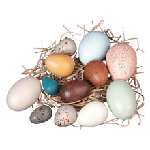 Load image into Gallery viewer, 12 Pcs Wooden Bird Eggs Set