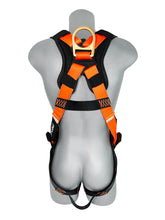 Load image into Gallery viewer, Frontline 50VTB Combat Economy Series Full Body Harness with Tongue Buckle Belt S