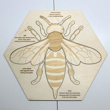 Load image into Gallery viewer, **Pre-order (Ships in 3-4 Weeks)**Educational Multi-Layered Wooden Puzzle