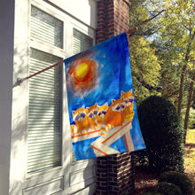 Load image into Gallery viewer, Raccoons on the porch  Flag Canvas House Size