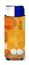 Load image into Gallery viewer, Big Orange Cat Welcome Slim Can Hugger – Fun &amp; Functional Drink Coolers 6010MUK