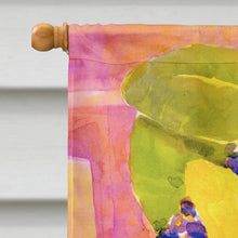 Load image into Gallery viewer, Flower Flag Canvas House Size