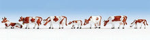 Load image into Gallery viewer, Noch 36723 N Scale Cows -- Brown &amp; White pkg(9)