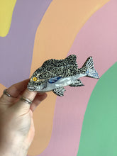 Load image into Gallery viewer, Super Grouper Hair Claw