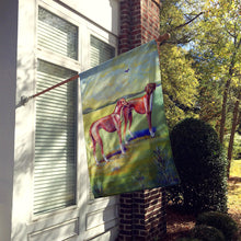 Load image into Gallery viewer, Azawakh Hound Flag Canvas House Size