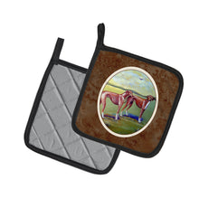 Load image into Gallery viewer, Azawakh Hound Pot Holders - Set of 2 Decorative Kitchen Helpers | Made in the USA 7001PTHD