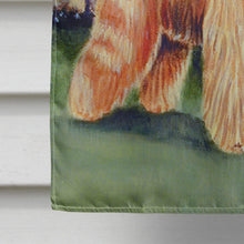 Load image into Gallery viewer, Briard by the stone fence Flag Canvas House Size