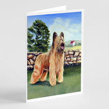 Load image into Gallery viewer, Briard Greeting Cards -  Blank Note Cards – 8-Pack of Artist-Designed Cards with Envelopes
