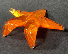 Load image into Gallery viewer, Mandarin Starfish