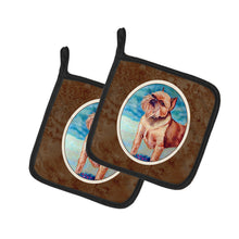 Load image into Gallery viewer, Brussels Griffon Pot Holders - Set of 2 Decorative Kitchen Helpers | Made in the USA 7016PTHD