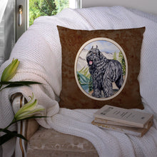 Load image into Gallery viewer, Bouvier des Flandres Throw Pillow - 14x14 Decorative Pillow – Art for Your Home &amp; Patio 7049PW1414