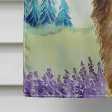 Load image into Gallery viewer, Leonberger Flag Canvas House Size