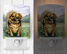 Load image into Gallery viewer, Tibetan Spaniel Ceramic Night Light 7075CNL