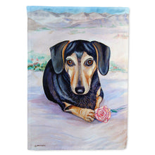 Load image into Gallery viewer, Black and Cream Dachshund Flag Canvas House Size