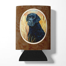 Load image into Gallery viewer, Curly Coated Retriever Can or Bottle Hugger 7097CC