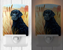 Load image into Gallery viewer, Curly Coated Retriever Ceramic Night Light 7097CNL