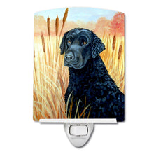 Load image into Gallery viewer, Curly Coated Retriever Ceramic Night Light 7097CNL