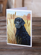 Load image into Gallery viewer, Curly Coated Retriever  Greeting Cards -  Blank Note Cards – 8-Pack of Artist-Designed Cards with Envelopes