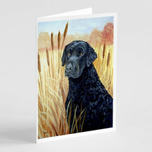 Load image into Gallery viewer, Curly Coated Retriever  Greeting Cards -  Blank Note Cards – 8-Pack of Artist-Designed Cards with Envelopes