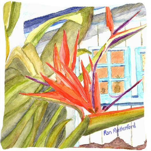 Flower - Bird of Paradise   Canvas Throw Pillow - 14x14 Decorative Pillow – Art for Your Home & Patio