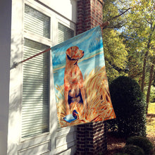 Load image into Gallery viewer, Chesapeake Bay Retriever Flag Canvas House Size
