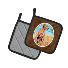 Load image into Gallery viewer, Chesapeake Bay Retriever Pot Holders - Set of 2 Decorative Kitchen Helpers | Made in the USA 7112PTHD